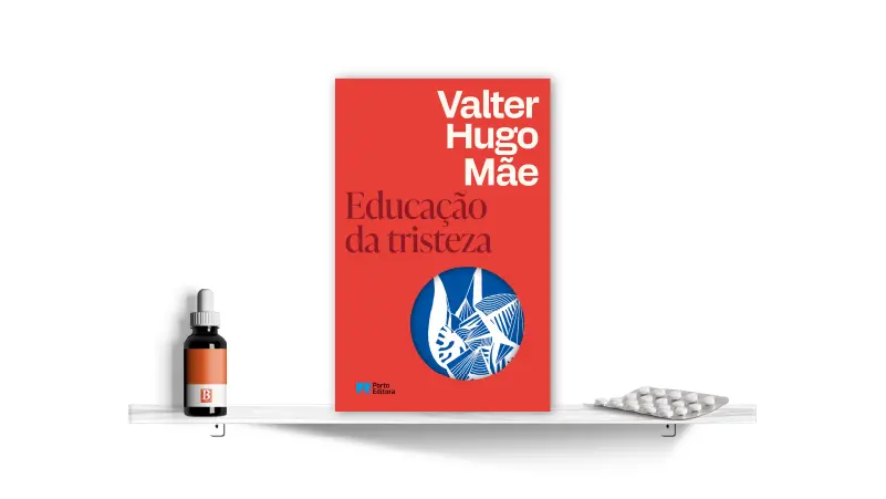 Educação da Tristeza, de Valter Hugo Mãe | Bula Literária 