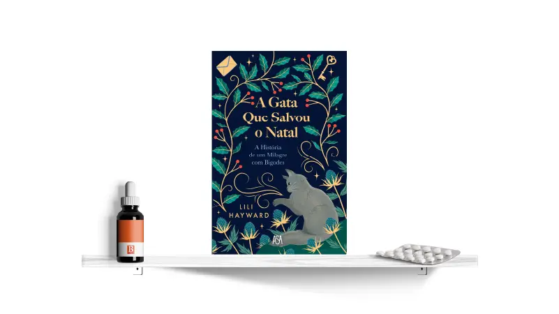 A Gata que Salvou o Natal, de Lili Hayward | Bula Literária
