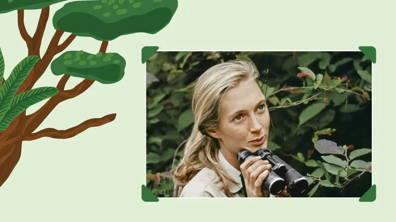 Amiga dos chimpanzés, defensora da Humanidade: quem foi Jane Goodall?