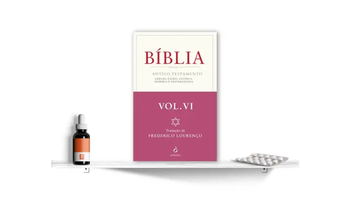 Bíblia - Volume VI, de Frederico Lourenço | Bula Literária