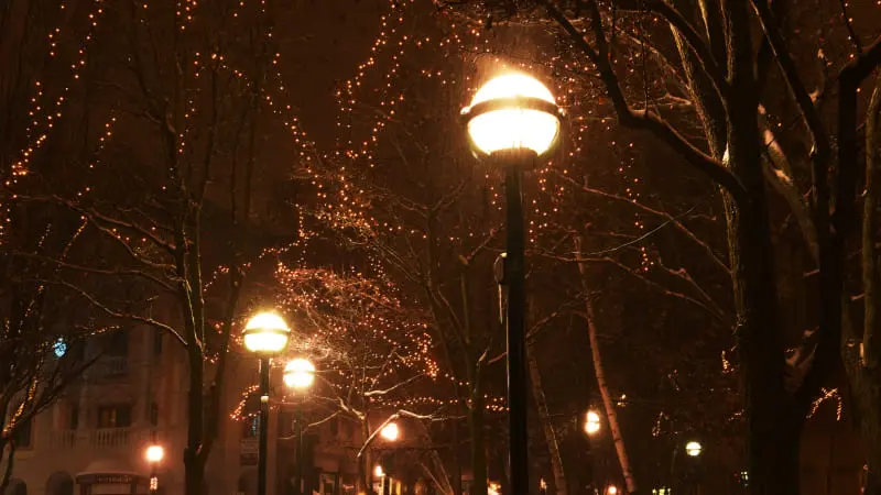 Noites de luz e estrelas – um natal mais próximo