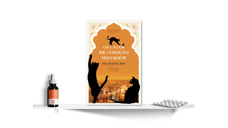 Os Gatos de Coração Selvagem, de Nilanjana Roy | Bula Literária