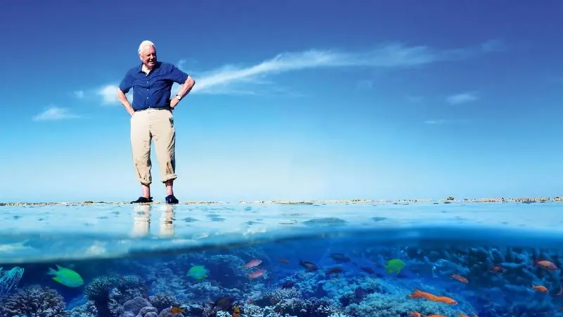 David Attenborough na Grande Barreira de Coral