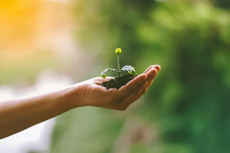 Dia Mundial do Ambiente: dicas para se manter informado e ativo